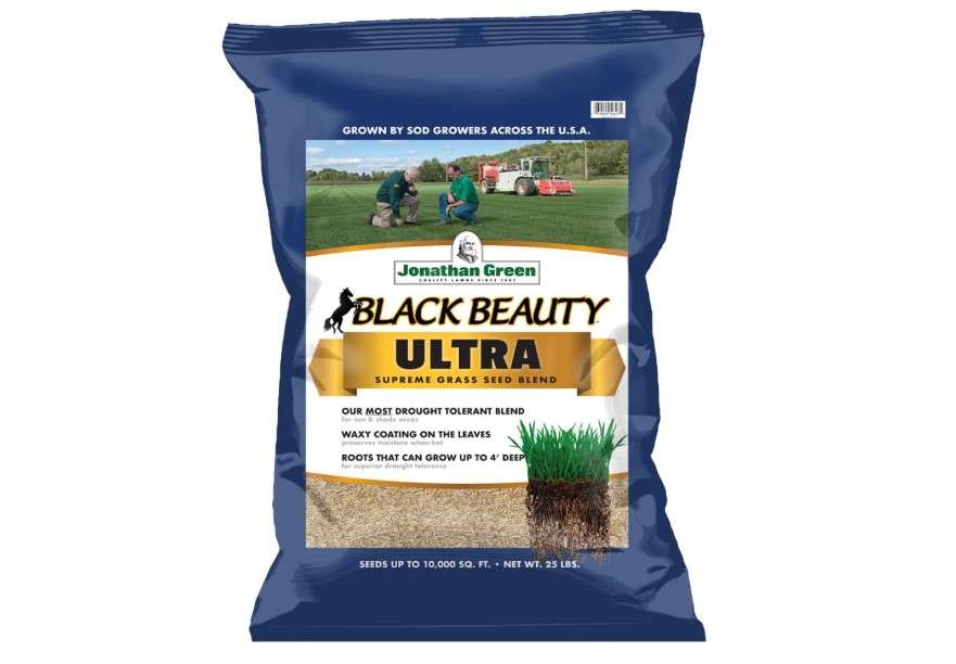 Jonathan Green (10323) Black Beauty Ultra Grass Seed - Cool Season Lawn Seed (25 lb)