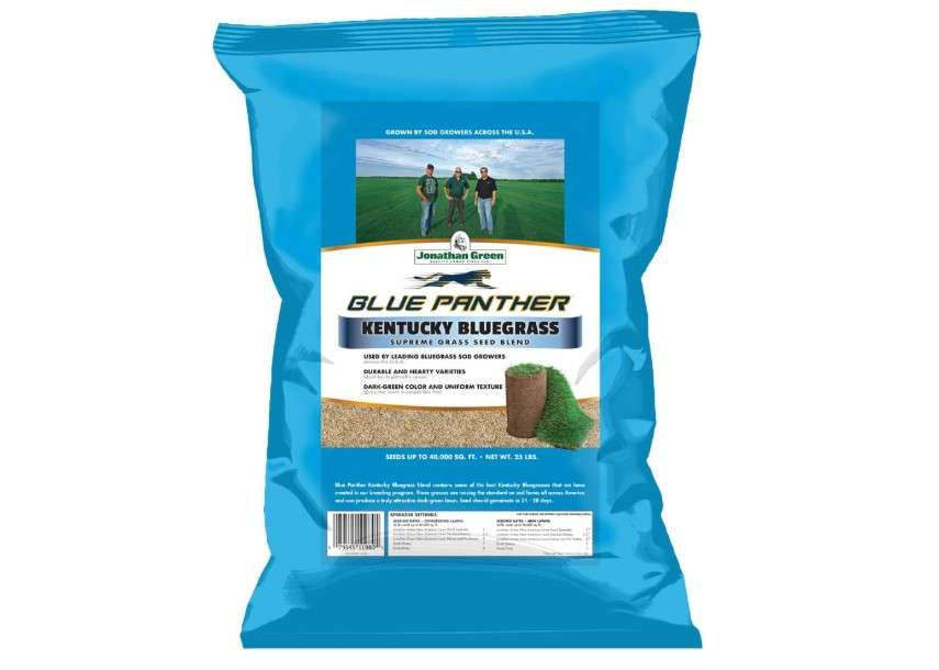Jonathan Green (11980) Blue Panther Kentucky Bluegrass Grass Seed - Cool Season Lawn Seed (25 lb) 