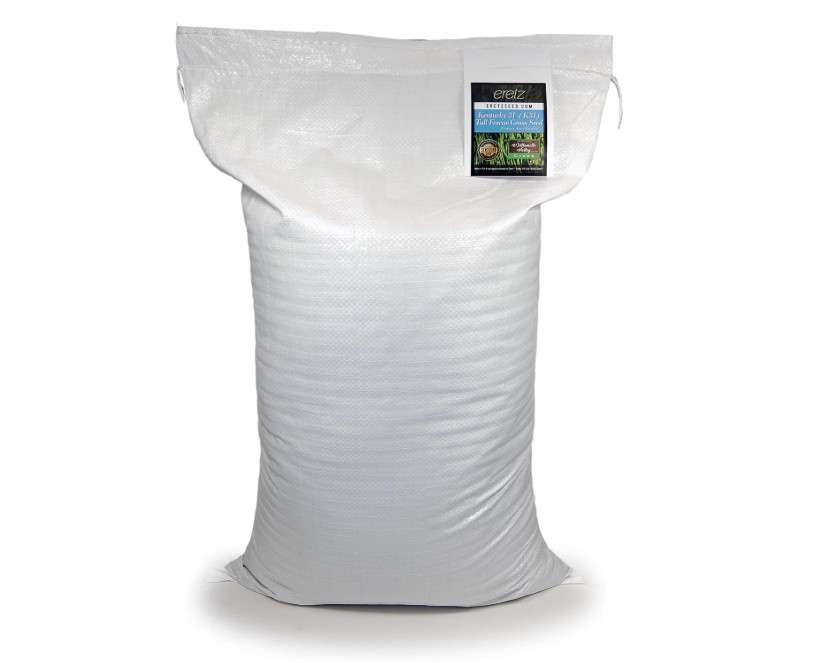 Kentucky 31 K31 Tall Fescue Grass Seed by Eretz - Choose Size! State Certified, No fillers, No Weed or Other Crop Seeds (25lbs) 