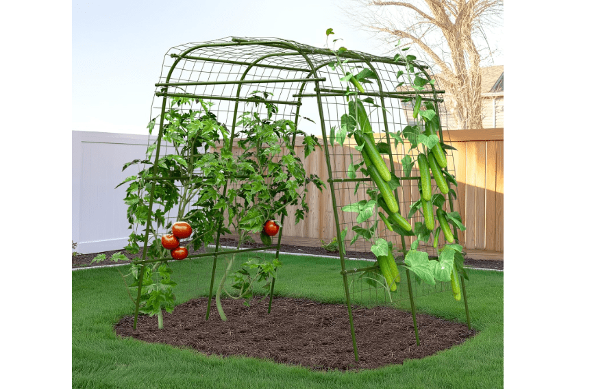 
HIRALIY Garden Arch Trellis for Climbing Plants, 6.3 ft Tall Metal Cucumber Trellis, Arch Tunnel for Tomato Grape Vine Vegetables, Plant Support Archway