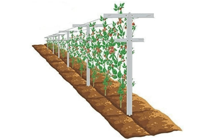 
MRGARDEN 7-Feet Adjustable Garden Trellis Set for Raspberry and Climbing Plants, Outdoor Stake Vineyard Trellis