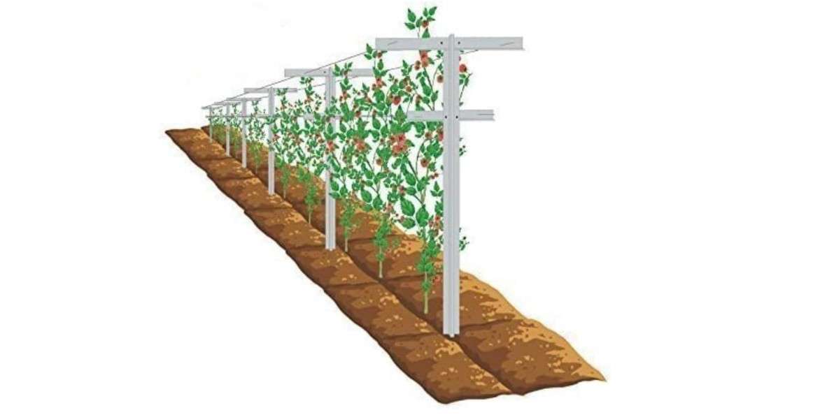  MRGARDEN 7-Feet Adjustable Garden Trellis Set for Raspberry and Climbing Plants, Outdoor Stake Vineyard Trellis, Pack