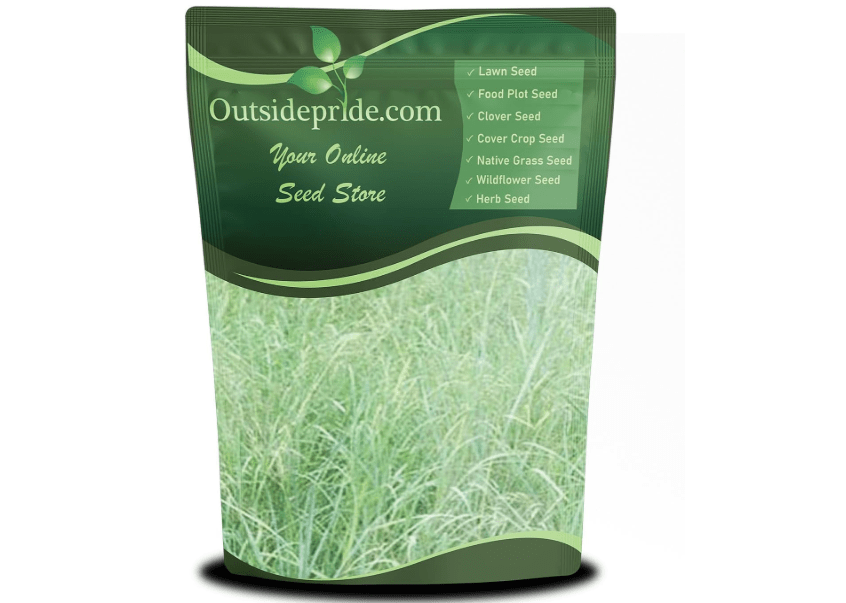 
Outsidepride Southwest Native Grass Seed Mix - 5 lbs. Perennial Warm & Cool Season Grasses, Drought & Heat-Tolerant, Low Maintenance, Ideal for