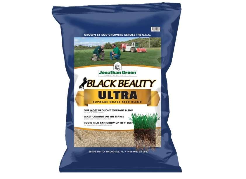  Jonathan Green (10323) Black Beauty Ultra Grass Seed - Cool Season Lawn Seed (25 lb)