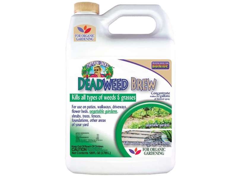 Bonide Captain Jack's Deadweed Brew, 128 oz Concentrate for All Types of Weeds and Grasses, for Organic Home Gardening