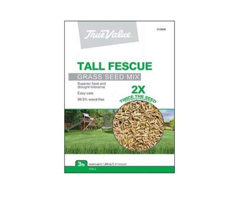 BARENBRUG USA TVTF3 True Value 3 lb Tall Fescue Seed
