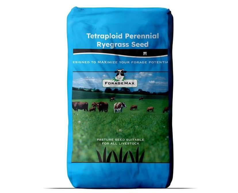 Outsidepride Ryegrass Seeds - 50 lb. Perennial, Hardy & Fast-Growing, Cover Crop Seeds for Planting Glossy Dark Green Grass Leaves, Ideal for Hay