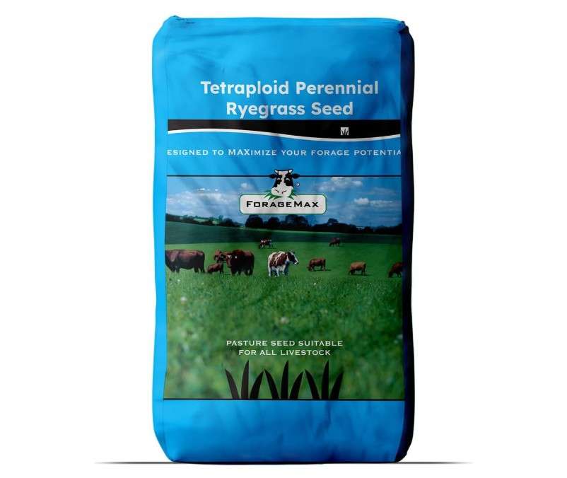  Outsidepride Ryegrass Seeds - 50 lb. Perennial, Hardy & Fast-Growing, Cover Crop Seeds for Planting Glossy Dark Green Grass Leaves, Ideal for Hay