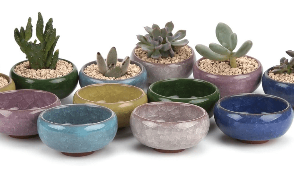  T4U 2.5 Inch Small Ceramic Succulent Planter Pot with Drainage Hole Set of 12, Ice Crack Glaze Plant Container for Cactus, Plant Lover Gifts for Women M