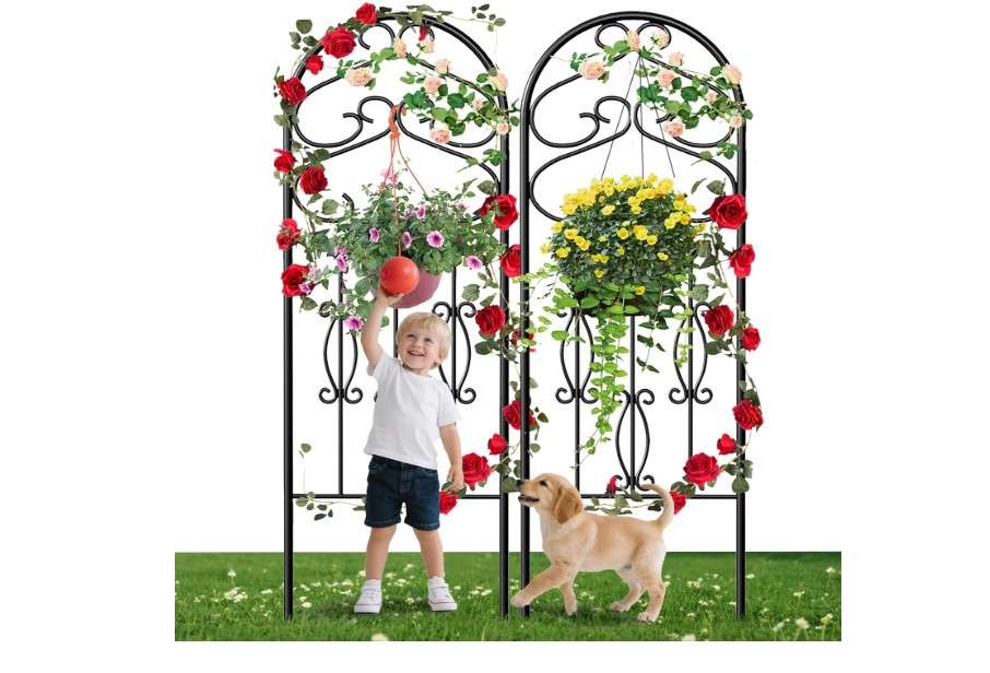  AMAGABELI Garden & Home 2 Pack 60" x 18" Metal Garden Trellis for Climbing Plants Outdoor Climbing Rose Trellis Rustproof Plant Vines Flower
