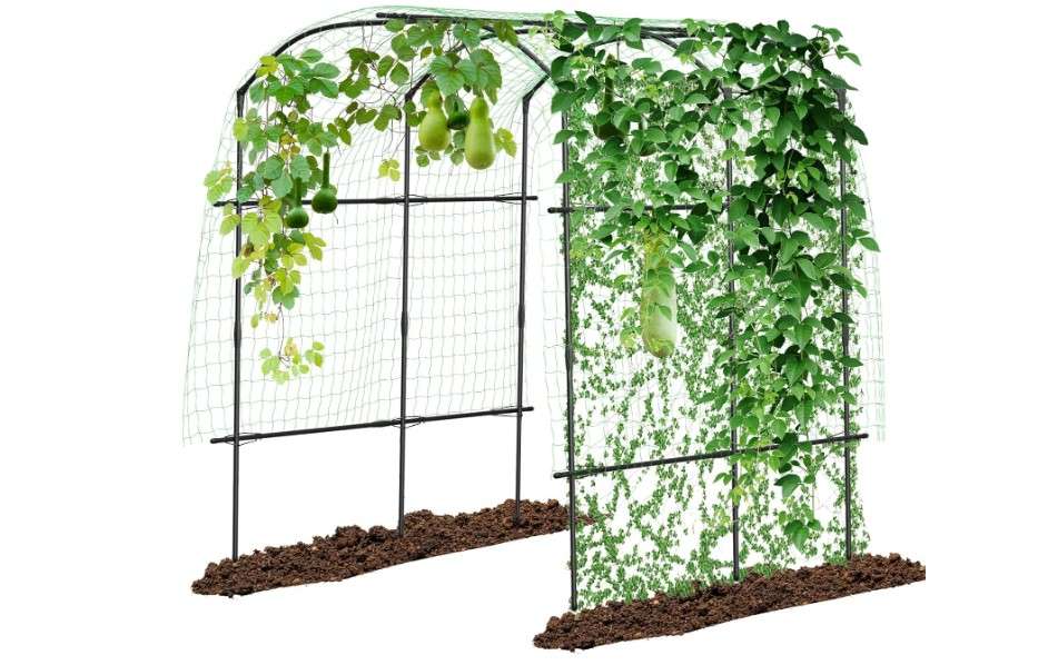 DoCred Tall Garden Arch Trellis for Climbing Plants, 87in Tall Metal Plant Support Trellis Archway for Climbing Vine Vegetable/Fruit/Flower Outdoor Yard Lawn Garden Arch Tunnel Trellis