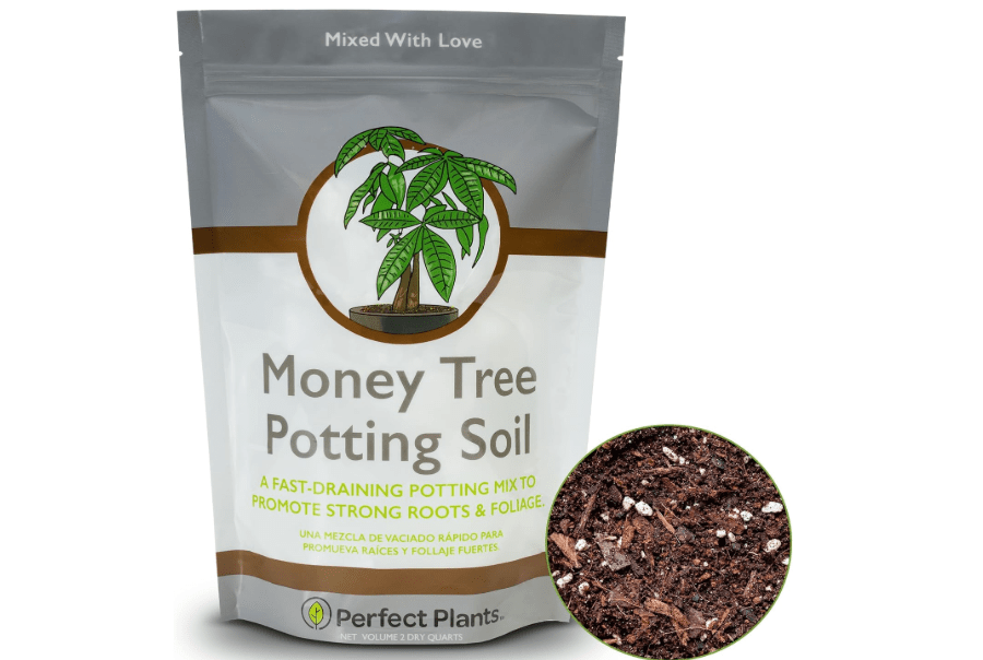 
Perfect Plants Money Tree Potting Soil 2qt | Organic Coco Coir Based Plant Mix for Indoor Trees | Quickly Grow Your Indoor Forest