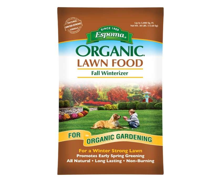 Espoma Organic Fall Winterizer 8-0-5 Natural & Organic Lawn Food. Long Lasting Organic Nitrogen & Potassium for a Winter Strong Lawn. 30 lb. Bag.