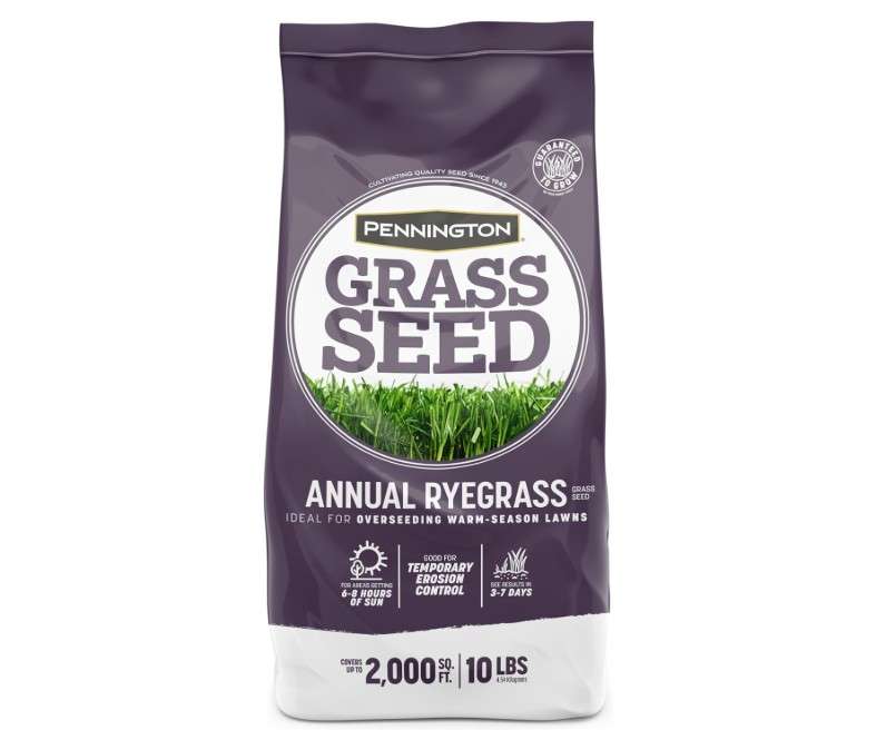 Pennington Annual Ryegrass Grass Seed 10 lb

