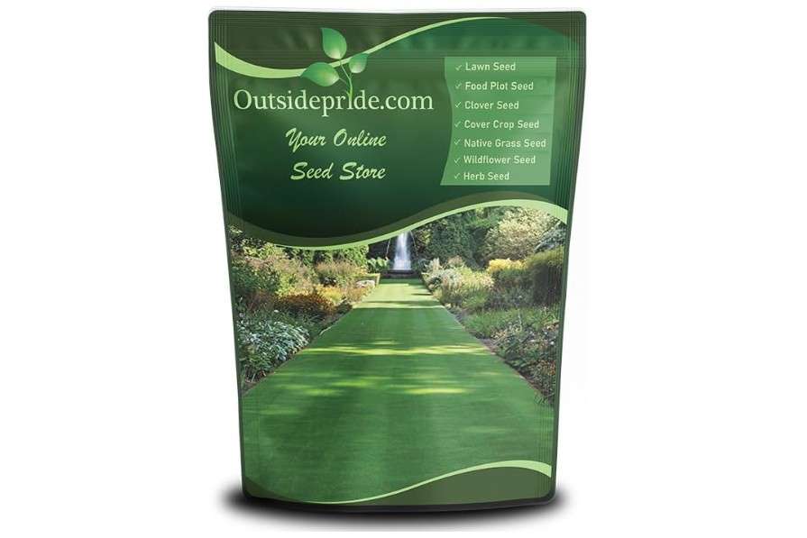  Outsidepride Legacy Fine Fescue Grass Seed Mix - 5 lbs. Shade & Sun Tolerant Blend of Hard Fescue, Chewings Fescue & Creeping Red Fescue with...