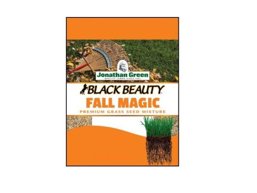  Jonathan Green Black Beauty Fall Magic Mixed Grass Seed 3