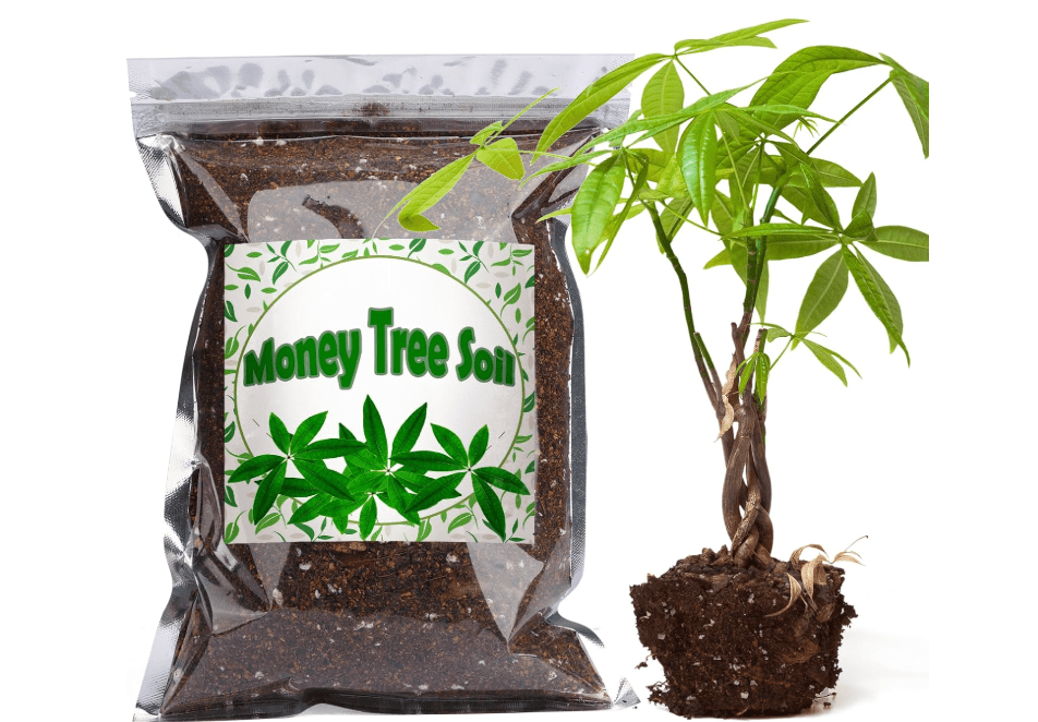 Doter Organic Money Tree Soil Mix 1qt, Indoor Plants Potting Mix for All Potted Money Tree, Grow Healthy houseplants Indoors