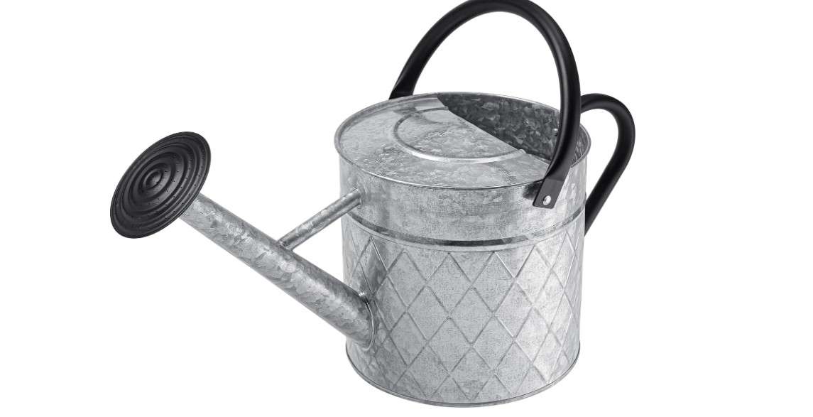  BLstyle 1.75 Gallon Outdoor Galvanized Metal Watering Can for Garden Plants, Vintage Zinc Watering Can with Removable Spray Spout, Ideal for Outdoor