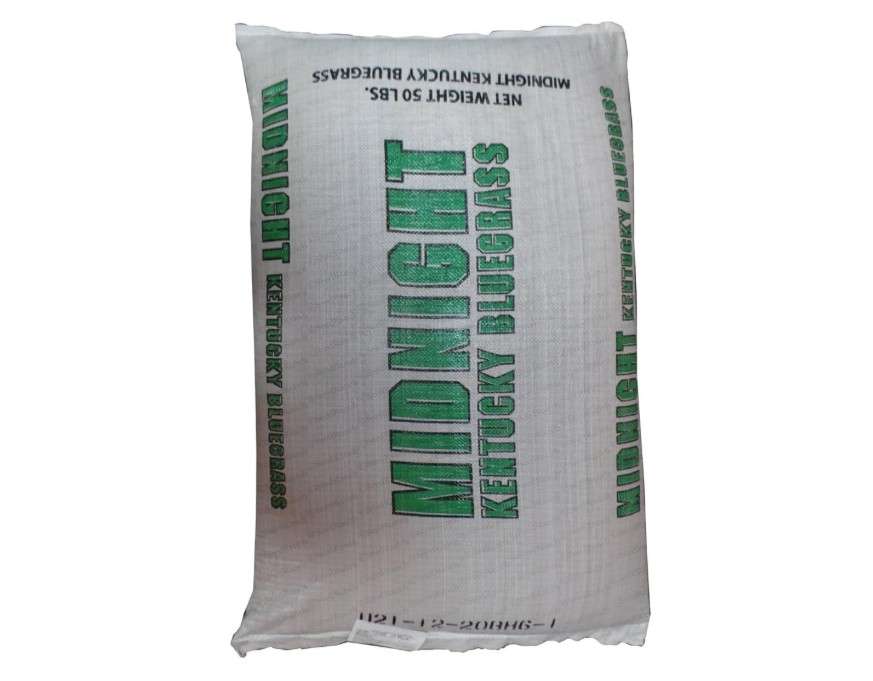 SeedRanch Midnight Kentucky Bluegrass Seed (Certified) - 20 Lbs. by SeedRanch Bluegrass 
