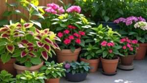 best plants for shade in pots