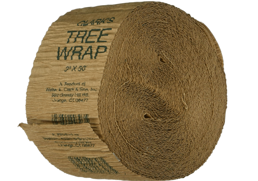Treekote 3"x50' Tree Wrap - Weather Resistant Tree Protection - Tree Trunk Wrap for Frost, Sun and Moisture - Tree Guard for Fruit trees, Shrubs and