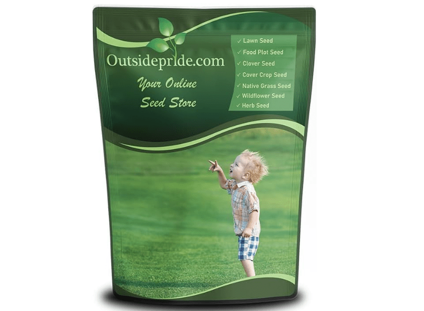 Outsidepride Showtime Perennial Lawn Grass Seed Mix - 50 lbs. Premium Blend of Creeping Red Fescue, Rye Grass & Kentucky Bluegrass Seed for Sports..