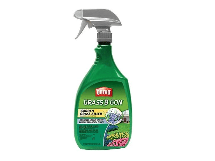 Ortho 0438580 Grass B Gon Garden Grass Killer Ready-to-Use Spray, 24-Ounce