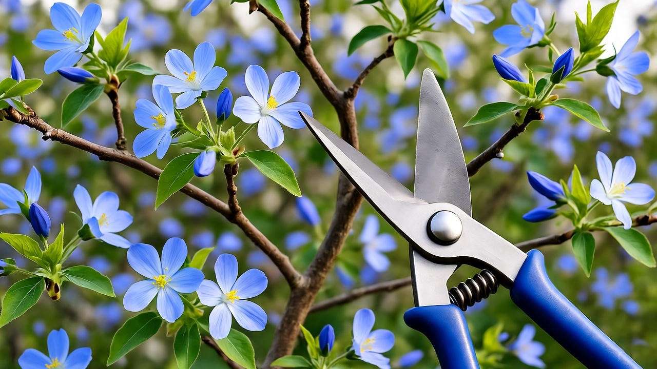 "Pruning a tree with blue flowers using clean tools in a lush garden."