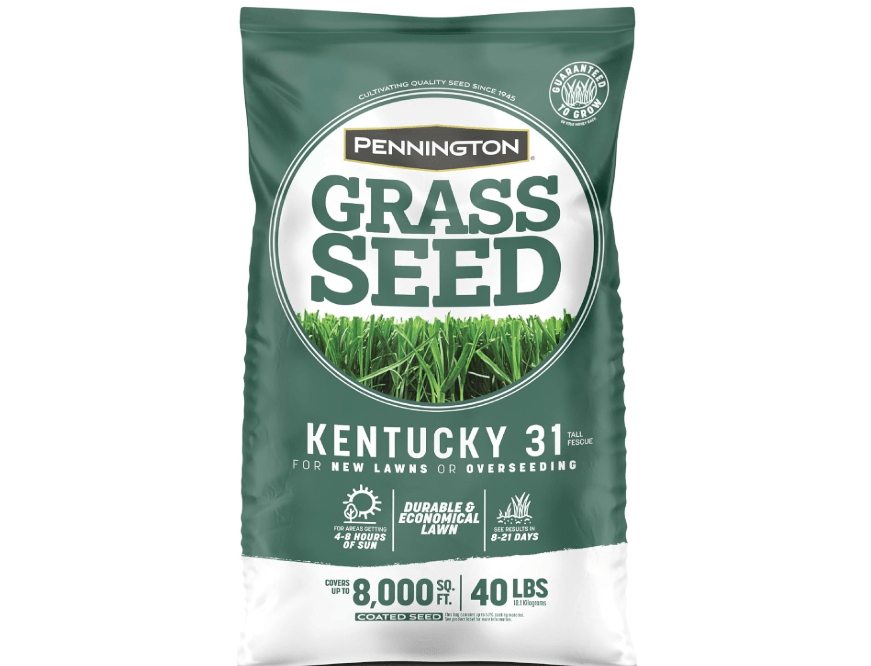 
Pennington Kentucky 31 Tall Fescue Penkoted Grass Seed 40 lbs
