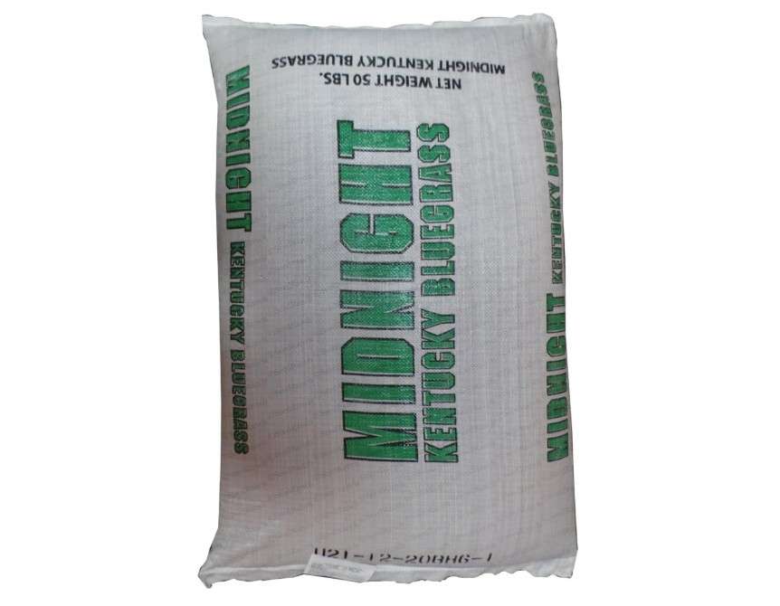 SeedRanch Midnight Kentucky Bluegrass Seed (Certified) - 20 Lbs. by SeedRanch Bluegrass
