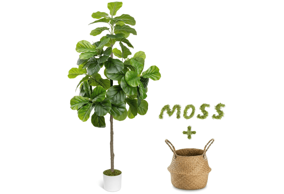 
LuceAlberi 6FT Artificial Fiddle Leaf Fig Tree - Tall Fake Tree with White Planter&Seagrass Basket, Large Faux Ficus Lyrata Tree Floor Plants for Indoor