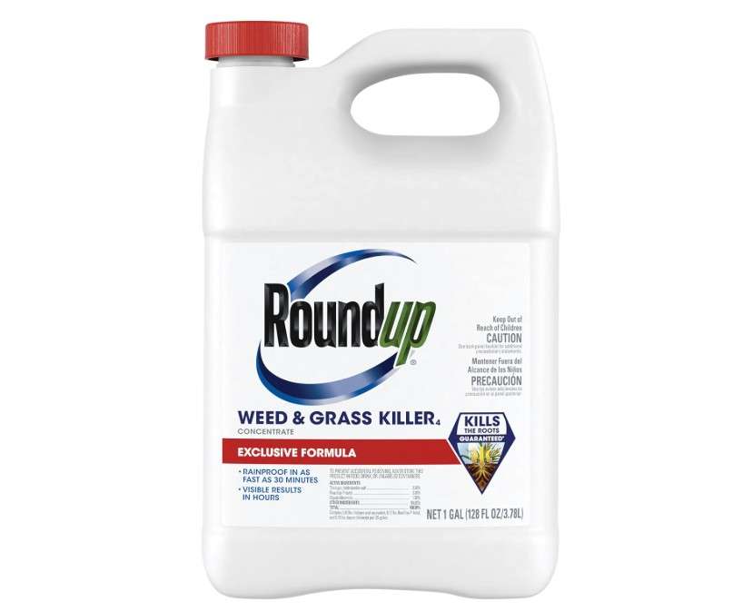  Roundup Weed & Grass Killer₄ Concentrate, Use in and Around Flower Beds, Walkways and Other Areas of Your Yard, 1 gal.