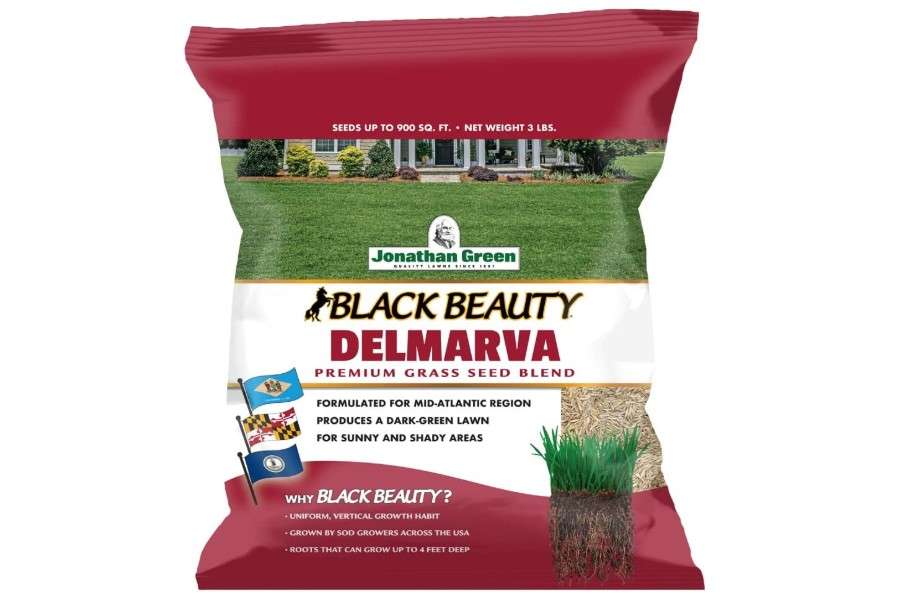 Jonathan Green (10390) Black Beauty Delmarva Grass Seed (Made for Maryland, Delaware, Virginia) - Cool Season Lawn Seed (3 lb)
