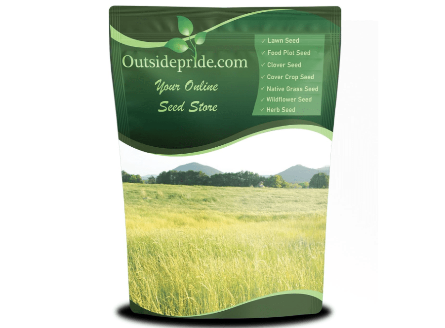 Outsidepride Teff Grass Seed - 5 lb. Annual, Hardy & Fast Growing, Pasture Seeds for Planting Fine Stemmed Grass Leaves, Ideal for Silage, Hay Foraging