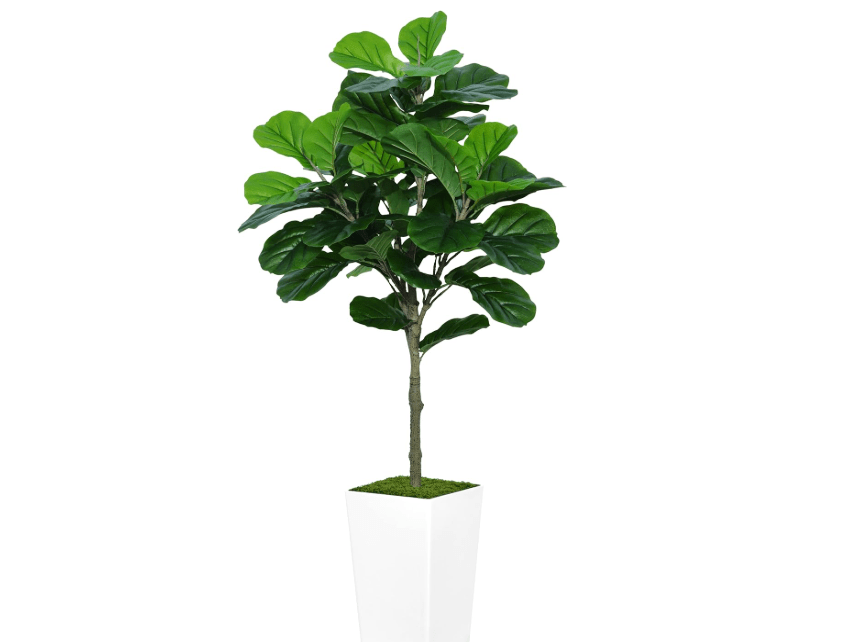 
ASTIDY Fiddle Leaf Fig Tree Artificial 5FT - Faux Fiddle Leaf Fig Tree with White Tall Planter - Fake Ficus Lyrata Floor Plant Potted - Artificial Fig Tree