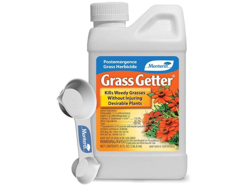  Monterey Grass Getter Bundled with Measuring Spoon - Selective Post Emergent Herbicide - Kills Weedy Grasses, Sethoxydim Herbicide - 8oz