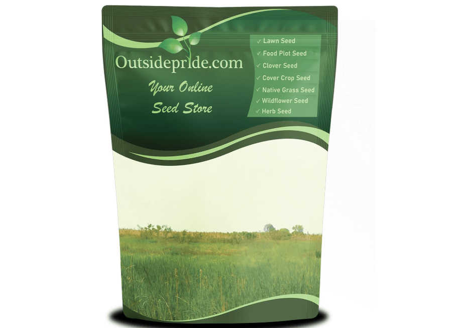 
Outsidepride Perennial Little Bluestem Grass Seed - 1 lb. Warm Season, Drought Resistant, Long-Lived Native Prairie Grass Seed, Ideal for Erosion Control