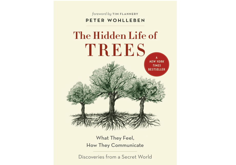 
The Hidden Life of Trees: What They Feel, How They Communicate―Discoveries from A Secret World (The Mysteries of Nature