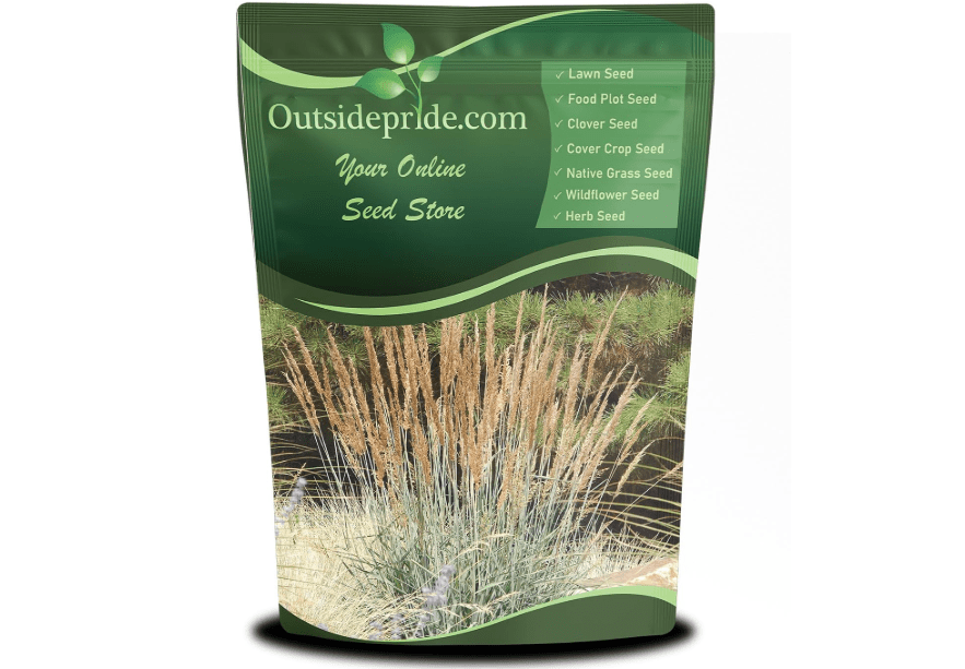 
Outsidepride Indian Native Grass Seed - 1 lb. Perennial, Low Maintenance, Drought-Tolerant Prairie Grass Seed for Wildlife Habitat, Livestock Forage