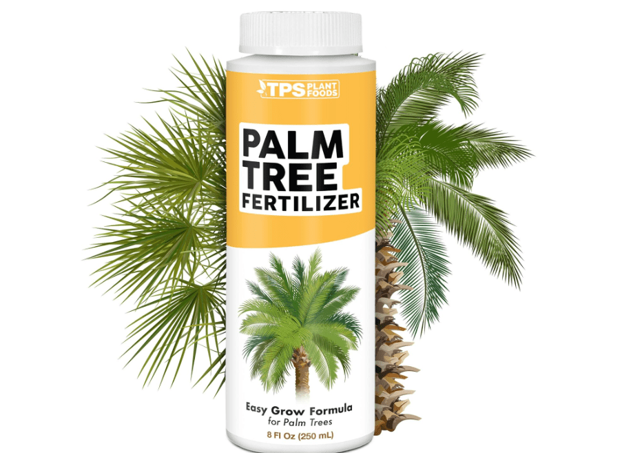 
Palm Tree Fertilizer for All Palms and Ferns, Liquid Plant Food 8 oz