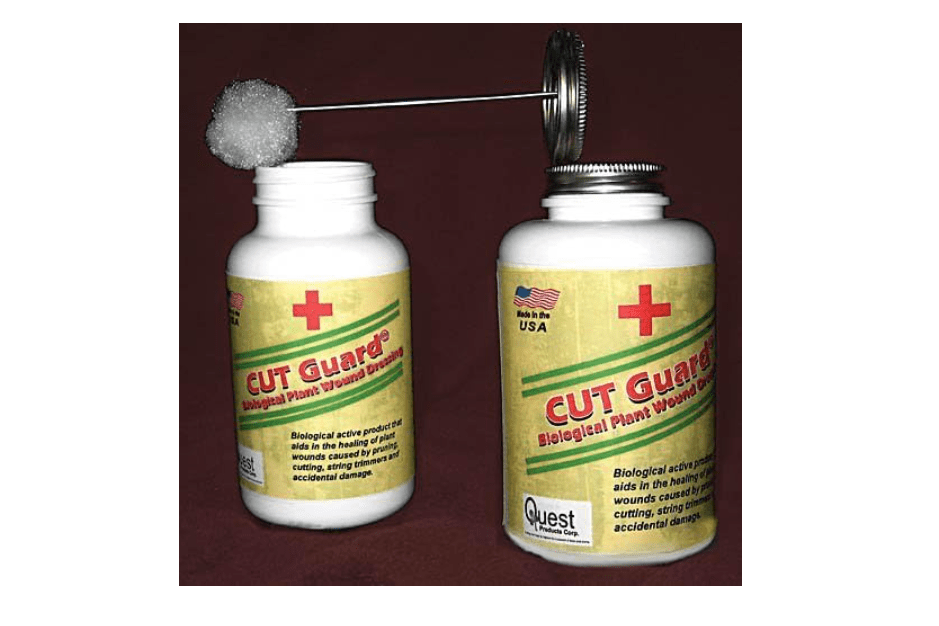 Cut Guard Biological Plant Wound Dressing -16 ounce