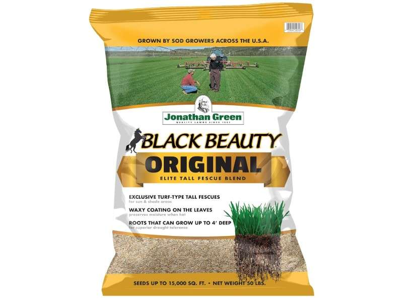 Jonathan Green (10316) Black Beauty Original Grass Seed Blend - Cool Season Lawn Seed (50 lb)
