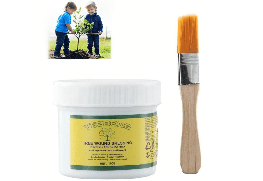 Tree Wound Sealer,100G Tree Pruning Sealer,Tree Wound Dressing with Brush,Tree Wound Sealer Healing Paste, Bonsai Cut Paste,Tree Trunk Paint Protection Wax