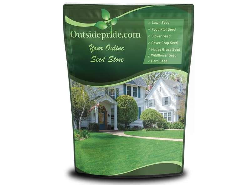 Outsidepride Fireball & Hattrick Rye Grass Seed Blend - 5 Lbs. Wear Tolerant, Fine Leaf Texture Perennial Rye Grass Seeds for Lawn, Sports Turf &...
