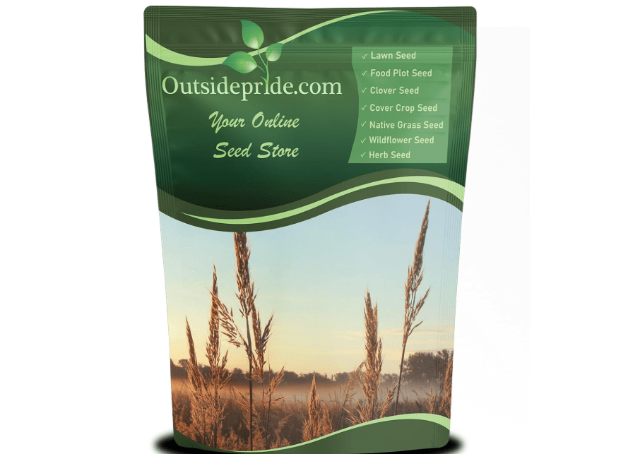 
Outsidepride Perennial Andropogon Big Bluestem Grass Seed - 1 lb. Warm Season, Drought Resistant, Native Prairie Grass Seed, Ideal for Erosion Control
