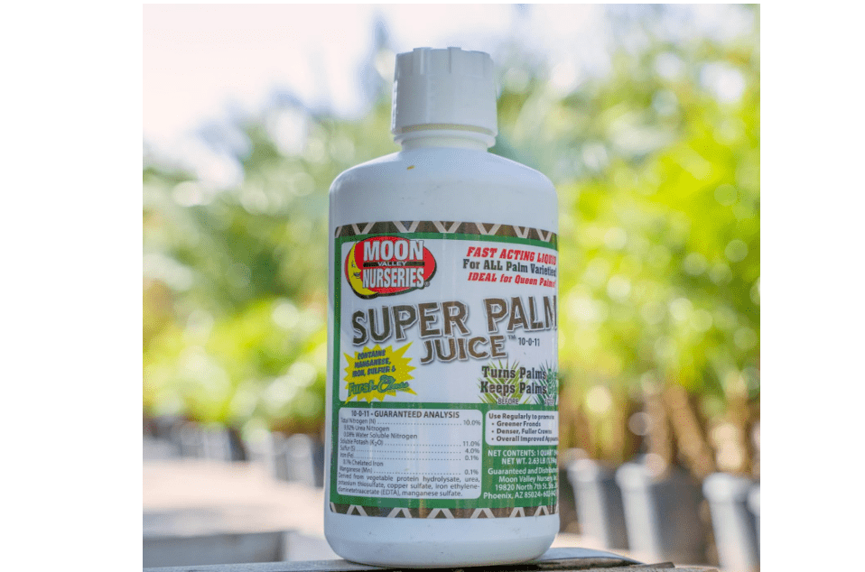 
Super Palm Juice - Palm Tree Fertilizer - 1 Quart