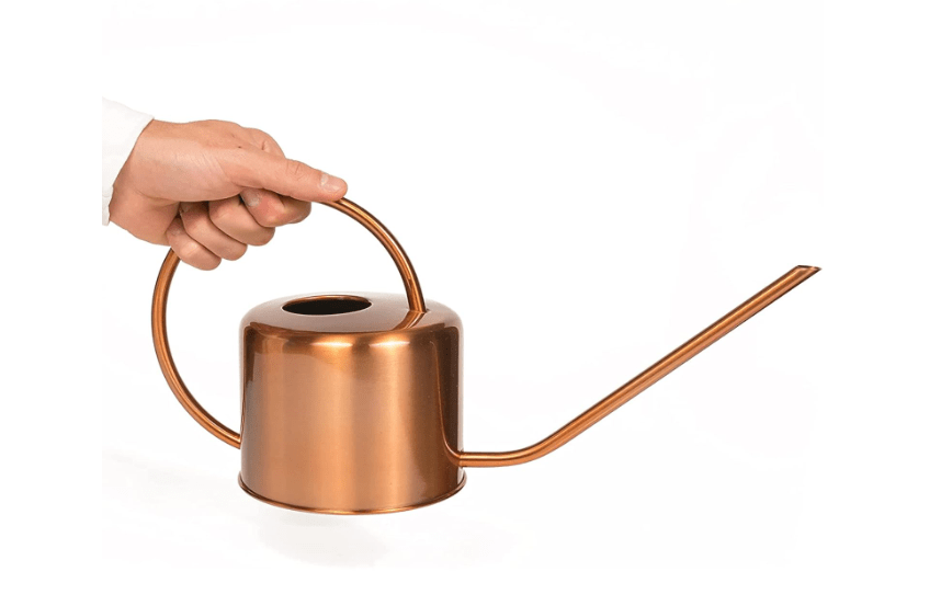 
Homarden 60 oz Water Can Metal - Stainless Steel Watering Can with Long Spout for Outdoor and Indoor Plants - Small Watering Jug for Houseplants, Mini Plant.