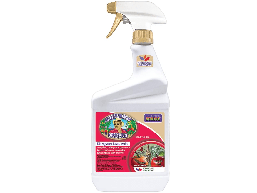 Bonide Captain Jack's Deadbug Brew Ready-to-Use Spray, 32 oz Outdoor Insecticide and Mite Killer for Organic Gardening