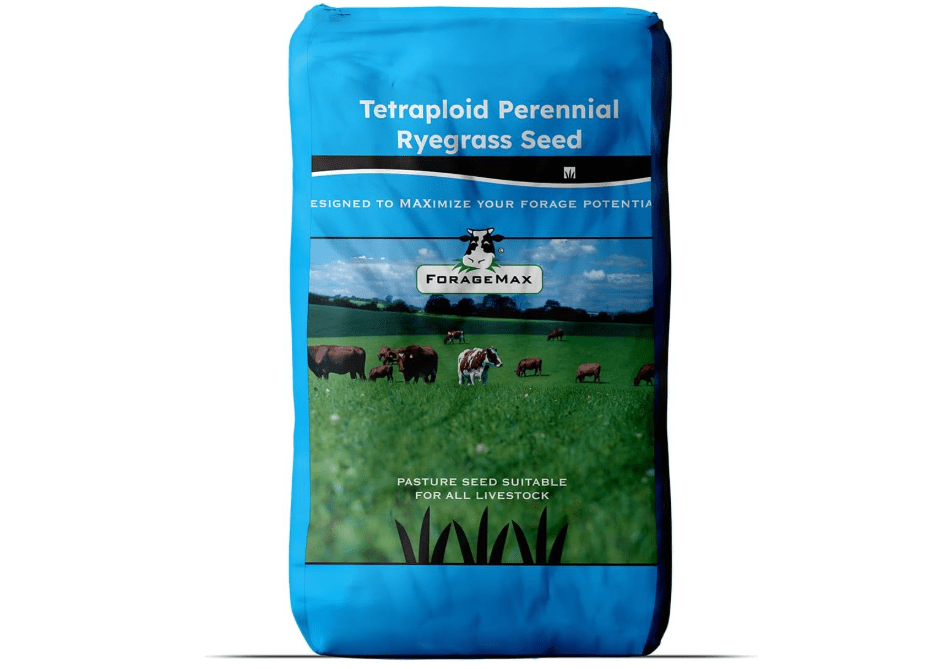 
Outsidepride Ryegrass Seeds - 25 lb. Hardy & Fast-Growing, Cover Crop Seeds for Planting Glossy Dark Green Grass Leaves, Ideal for Hay Foraging, Pasture
