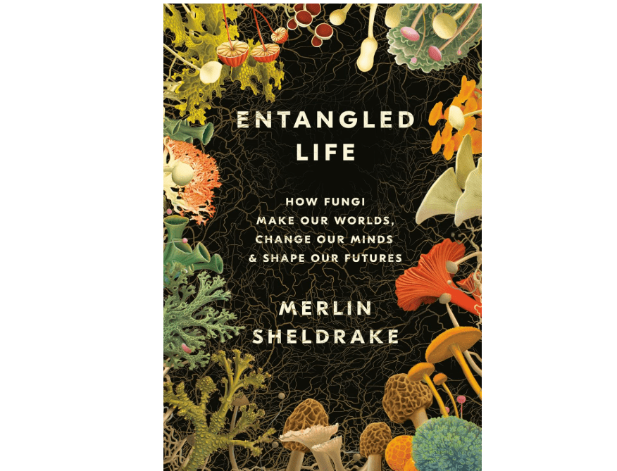 
Entangled Life: How Fungi Make Our Worlds, Change Our Minds & Shape Our Futures